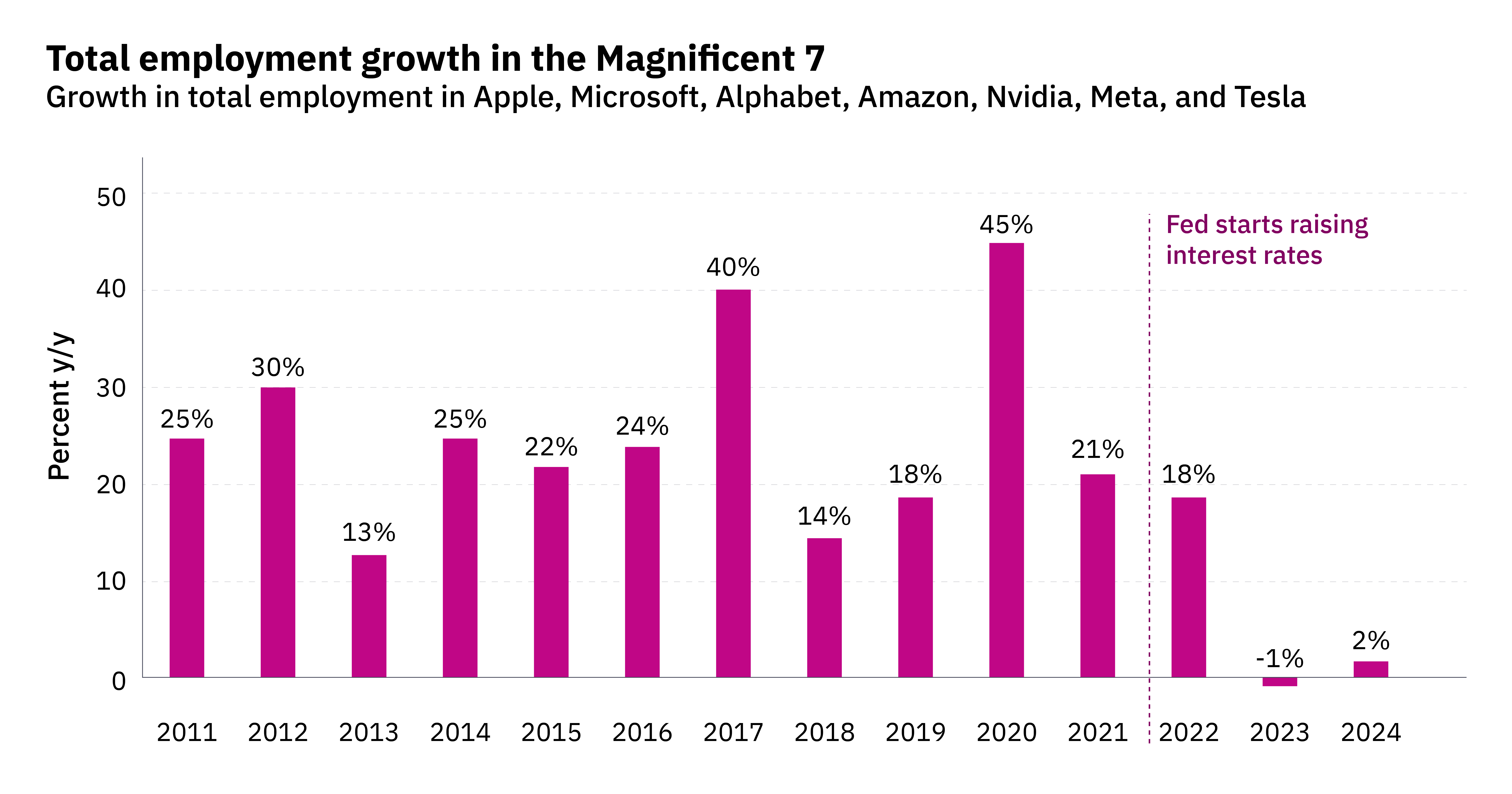 Bar chart showing Growth in total employement in Apple, Microsoft, Alphabet, Amazon, NVIDIA, Meta and Tesla