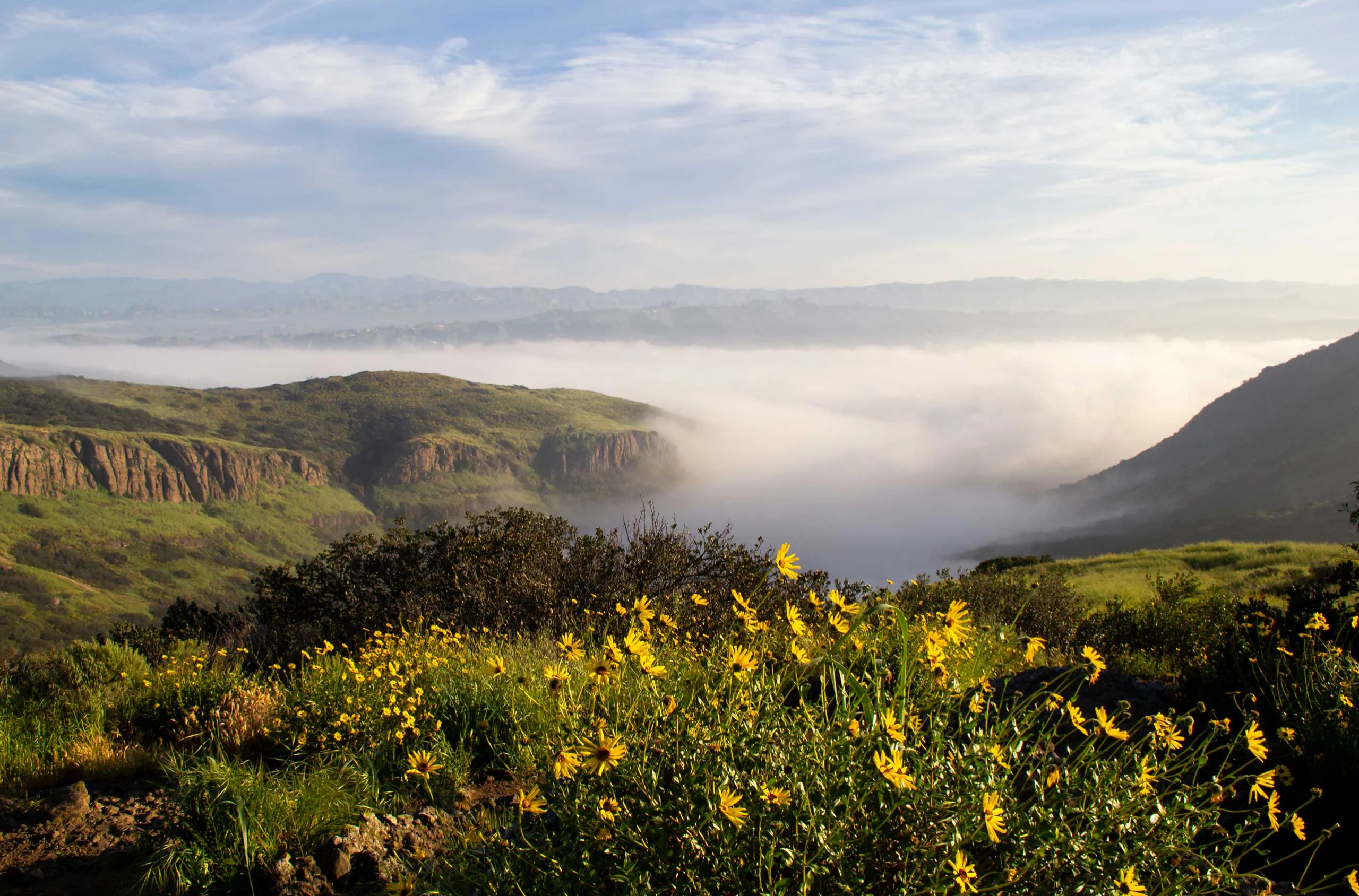 Thousand Oaks CA