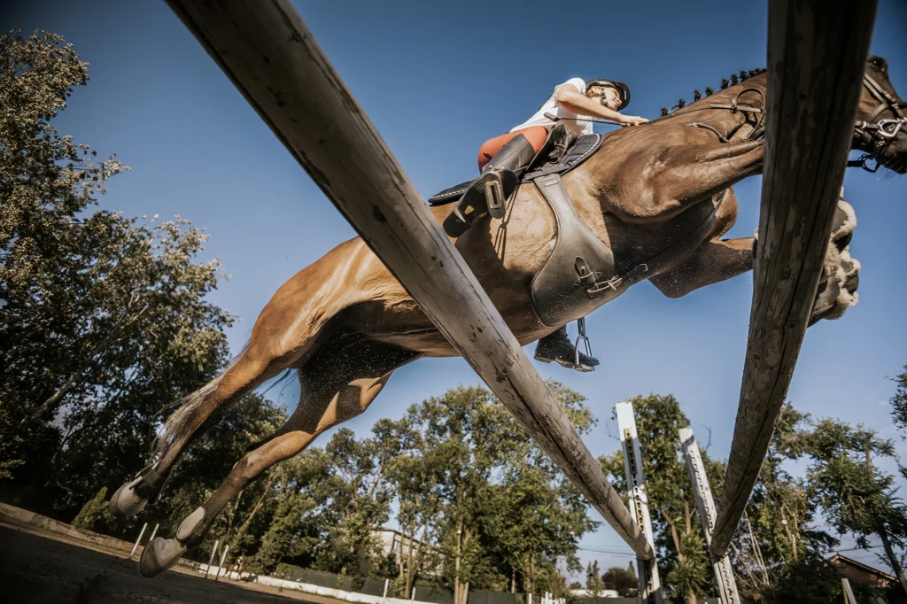 Rider on Horse Jumping